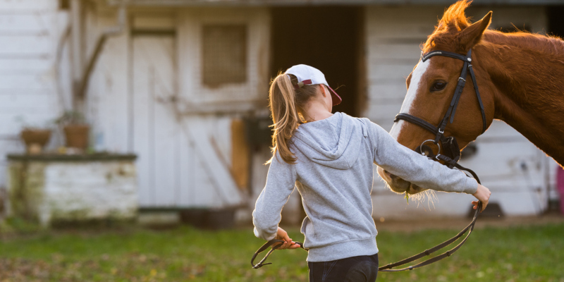 Horse Training: Should You Cross-Train Your Horse?