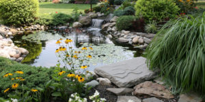 4 Reasons to Keep Up on Pond Services