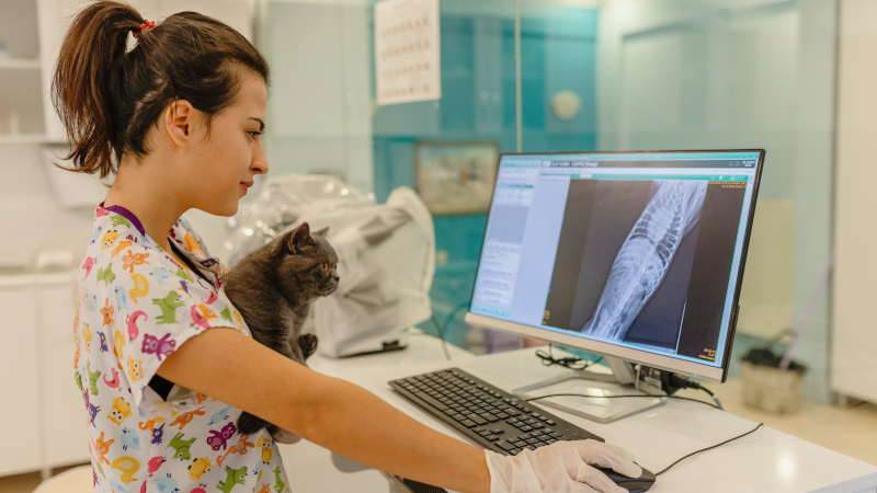 Reasons to Upgrade Your Veterinary Equipment