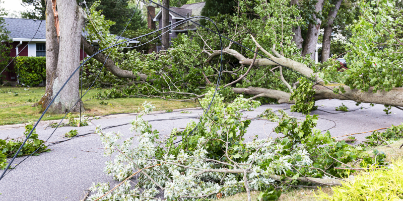 Why You Shouldn’t Wait to Take Care of Storm Damage Restoration