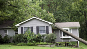 4 Different Types of Storm Damage Restoration