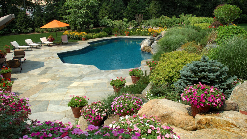 Transform Your Backyard with These Pool Landscaping Ideas