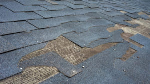 5 Easy Roofing Maintenance Tips That All Homeowners Need to Know