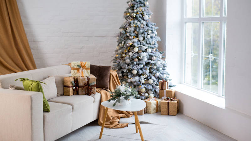 Christmas Tree Watering: How to Make Your Tree Last Long and Look Great