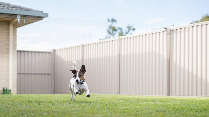 3 Tips for Considering the Right Materials for Your Fencing Installation