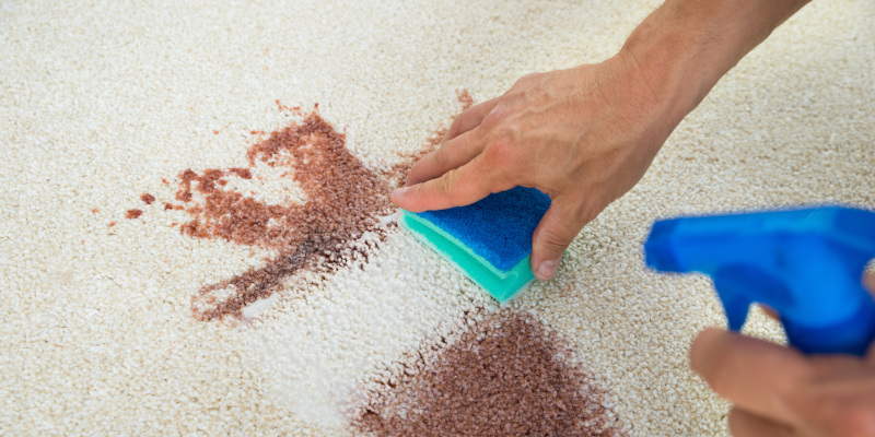 3 Sample Blog Topics for a Carpet & Upholstery Cleaning Company