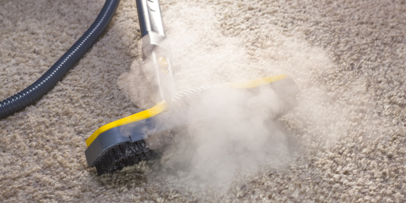 4 Reasons You Should Hire a Professional Carpet Cleaning Service