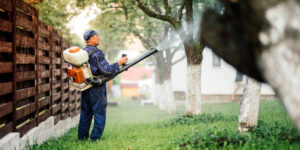 The Benefits of Professional Insect & Pest Control Services