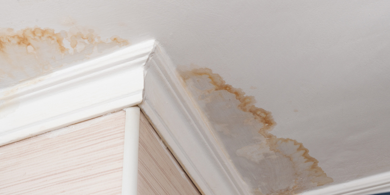 A Guide to Water Damage – Its Causes & Dangers