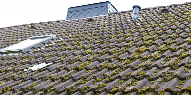Benefits of Moss Removal for Your Roofing